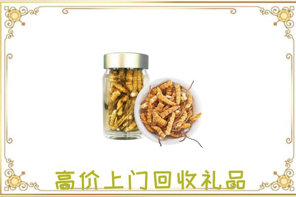 朝阳周边回收虫草